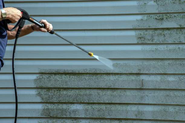 Best Concrete Surface Cleaning in Vinton, TX