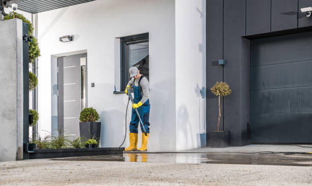 Best Roof Cleaning and Mildew Removal in Vinton, TX